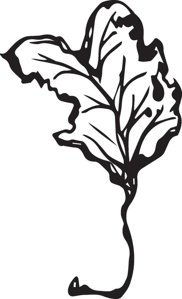 Hand drawn black leaves. Vintage leaf, great design for any purposes. vector