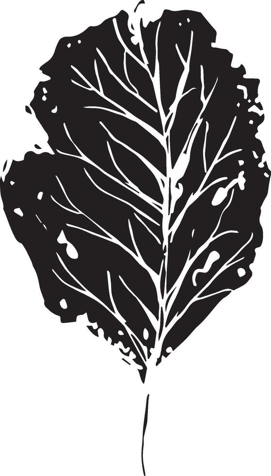 Hand drawn black leaves. Vintage leaf, great design for any purposes. vector