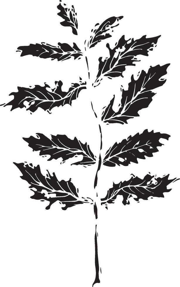 Rowan in hand drawn style on black background. Vintage line art closeup. vector