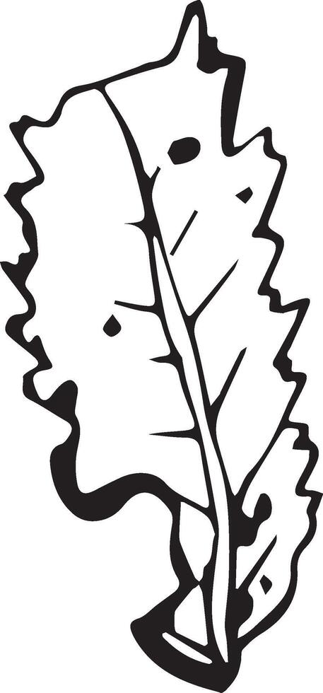 Rowan in hand drawn style on black background. Vintage line art closeup. vector