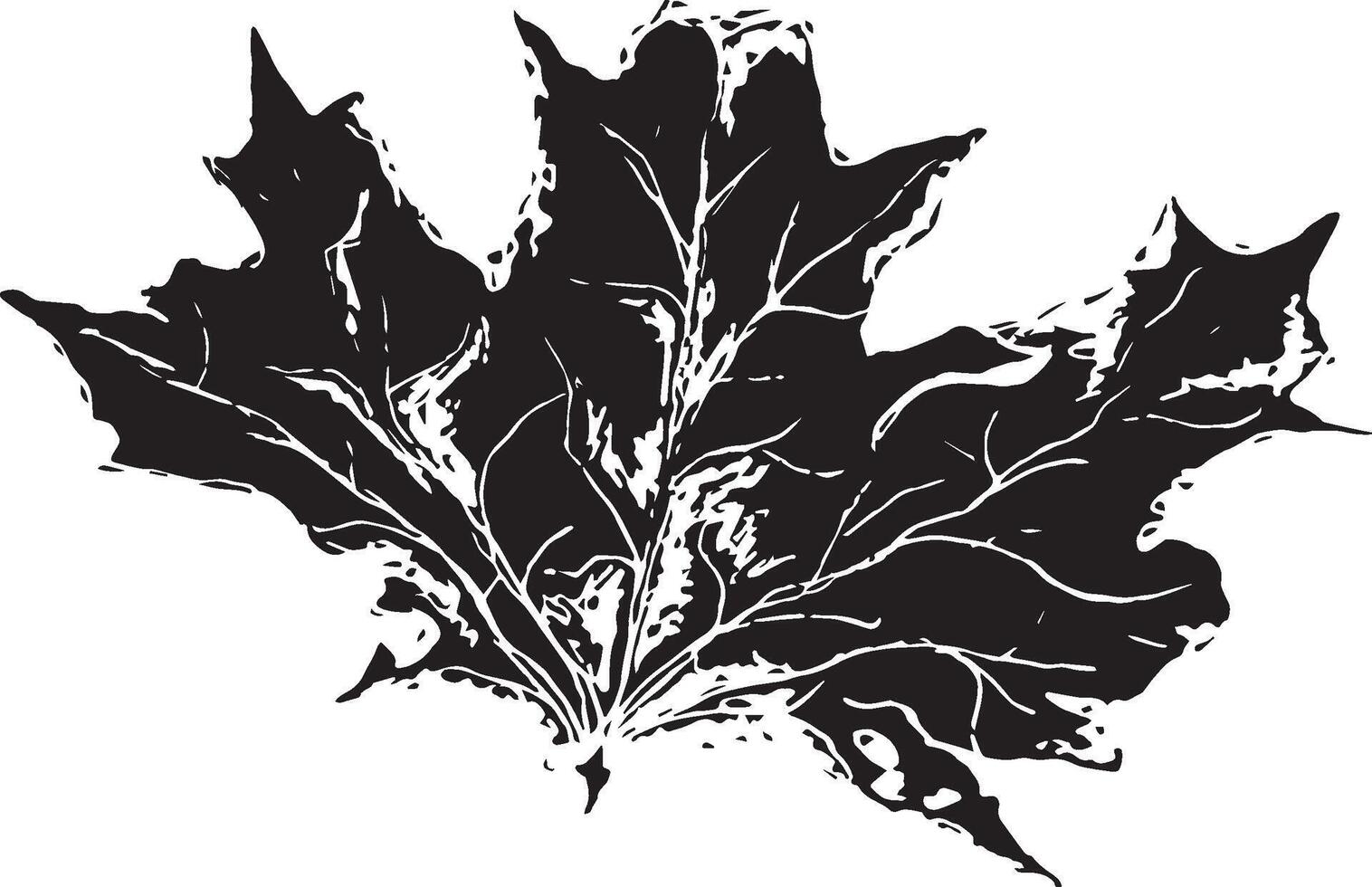 Sketch drawing of a maple leaf in black and white outline. Vintage maple, great design for any purposes. vector