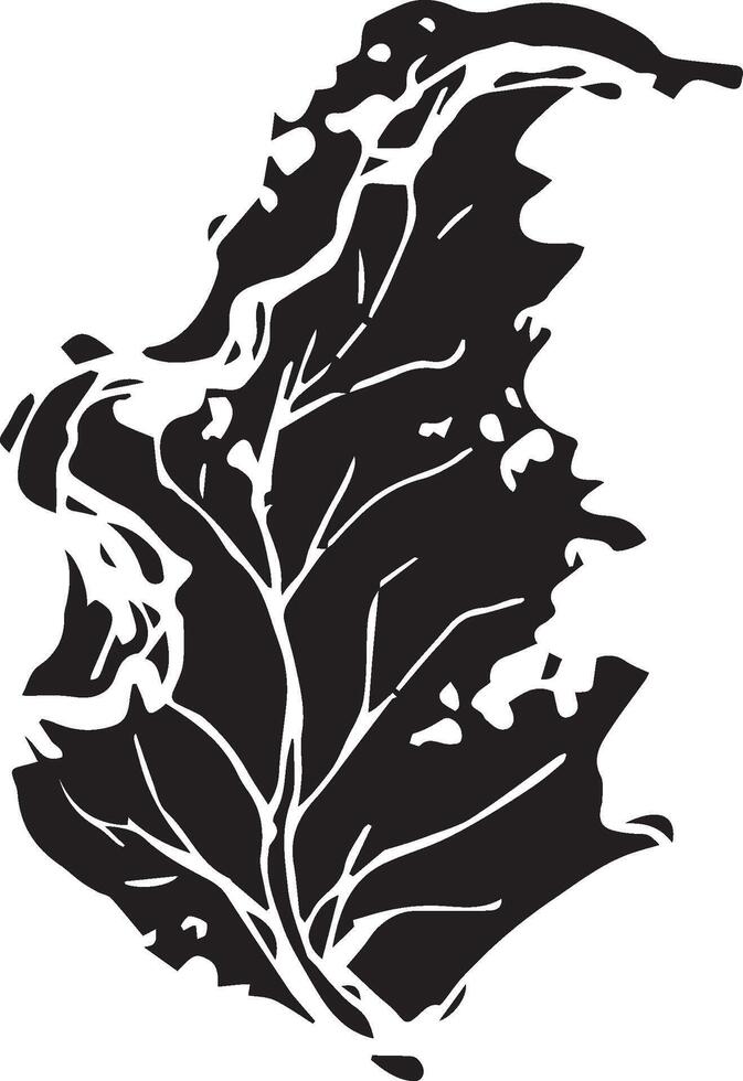 Sketch drawing of a birch leaf in black and white outline. Vintage combination of birch leaf. vector