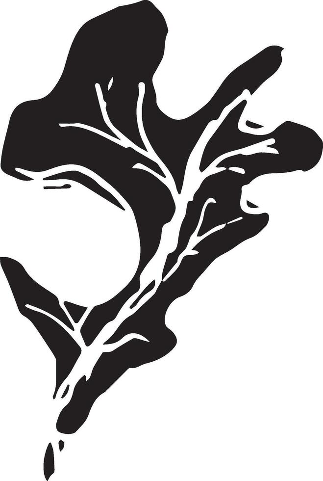 Sketch drawing of a oak leaf in black and white outline. Vintage oak, great design for any purposes. vector