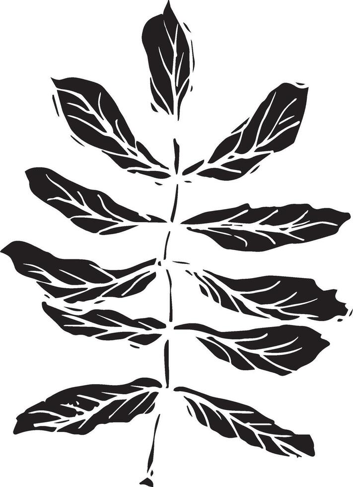 Rowan in hand drawn style on black background. Vintage line art closeup. vector