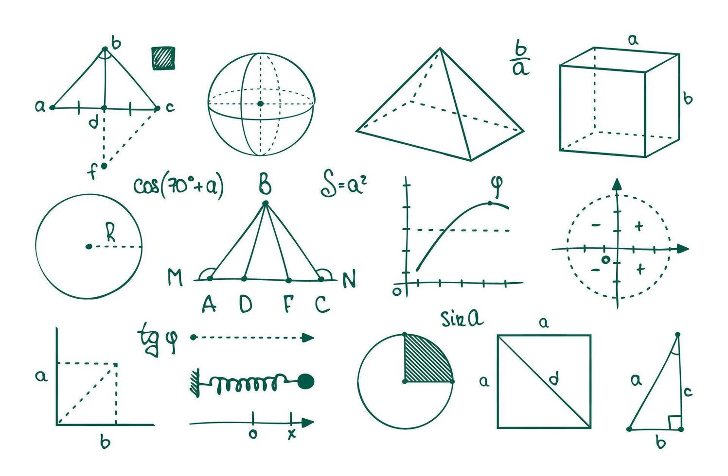 Math graphs. Parabolas, cosine, sine and tangent curves. Geometric figures and functions. Vector college algebraic symbols