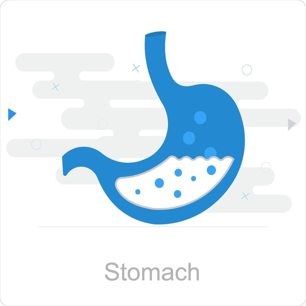 estómago y salud icono concepto vector