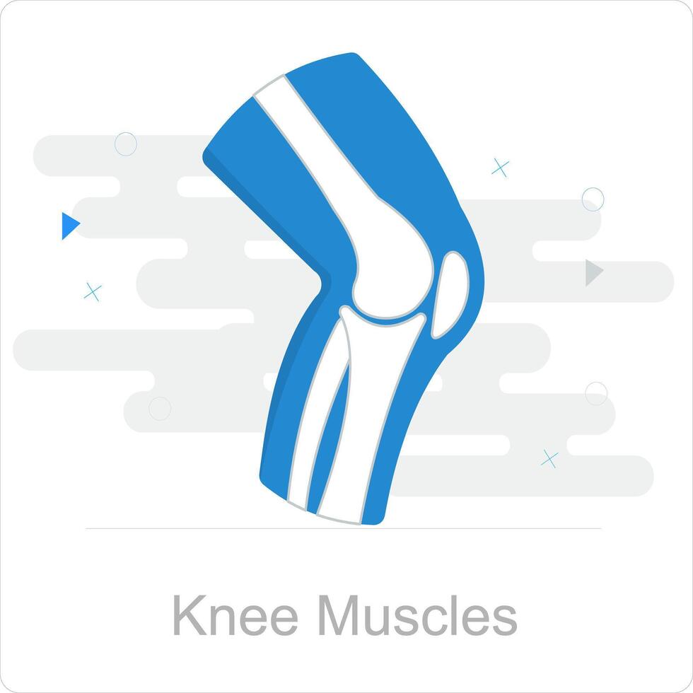 Knee Muscles and fitness icon concept vector