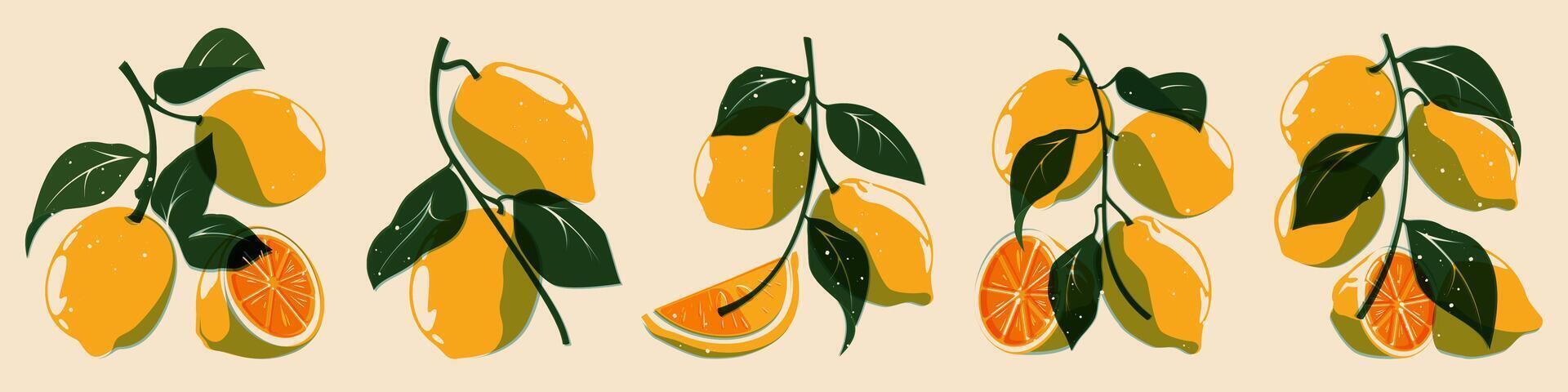Lemon plant riso collection. Fresh citrus fruit for organic eco design, cartoon botanical print elements of lemon tree. Vector isolated set