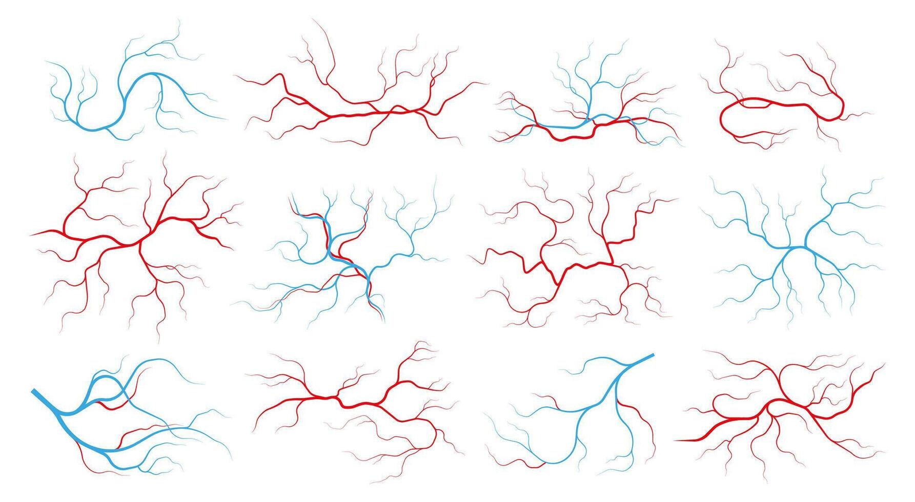 Veins and arteries. Human vascular system and blood vessels, red capillary vessels with stream of blood, healthy cardiovascular system. Vector set