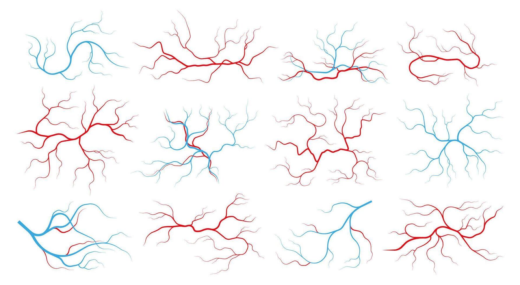 las venas y arterias humano vascular sistema y sangre vasos, rojo capilar vasos con corriente de sangre, sano cardiovascular sistema. vector conjunto