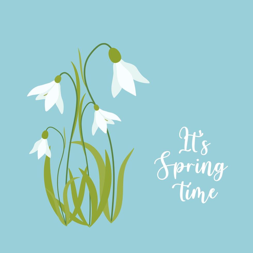 Flower collection with leaves, floral bouquets. Vector flowers. Spring art print with botanical elements. Happy Easter. Folk style. Posters for the spring holiday. icons isolated on white background.