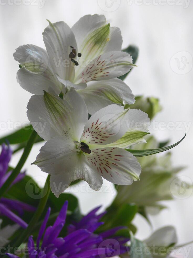 un cerca arriba de un manojo de flores foto