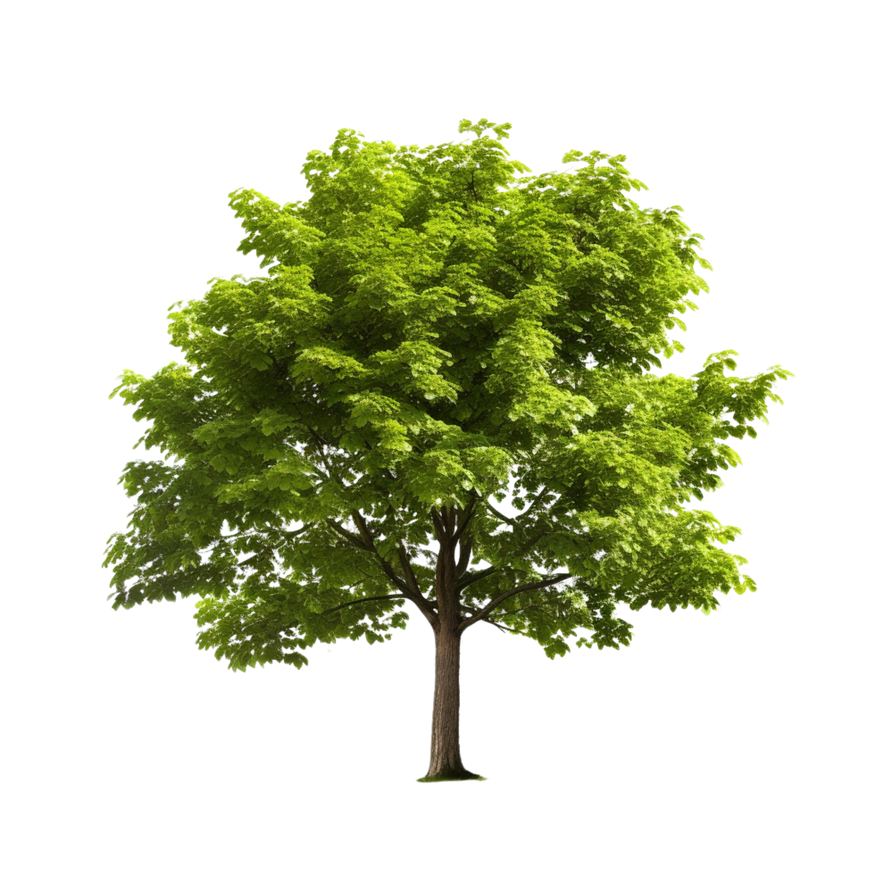 AI generated Common hazel bush clip art png