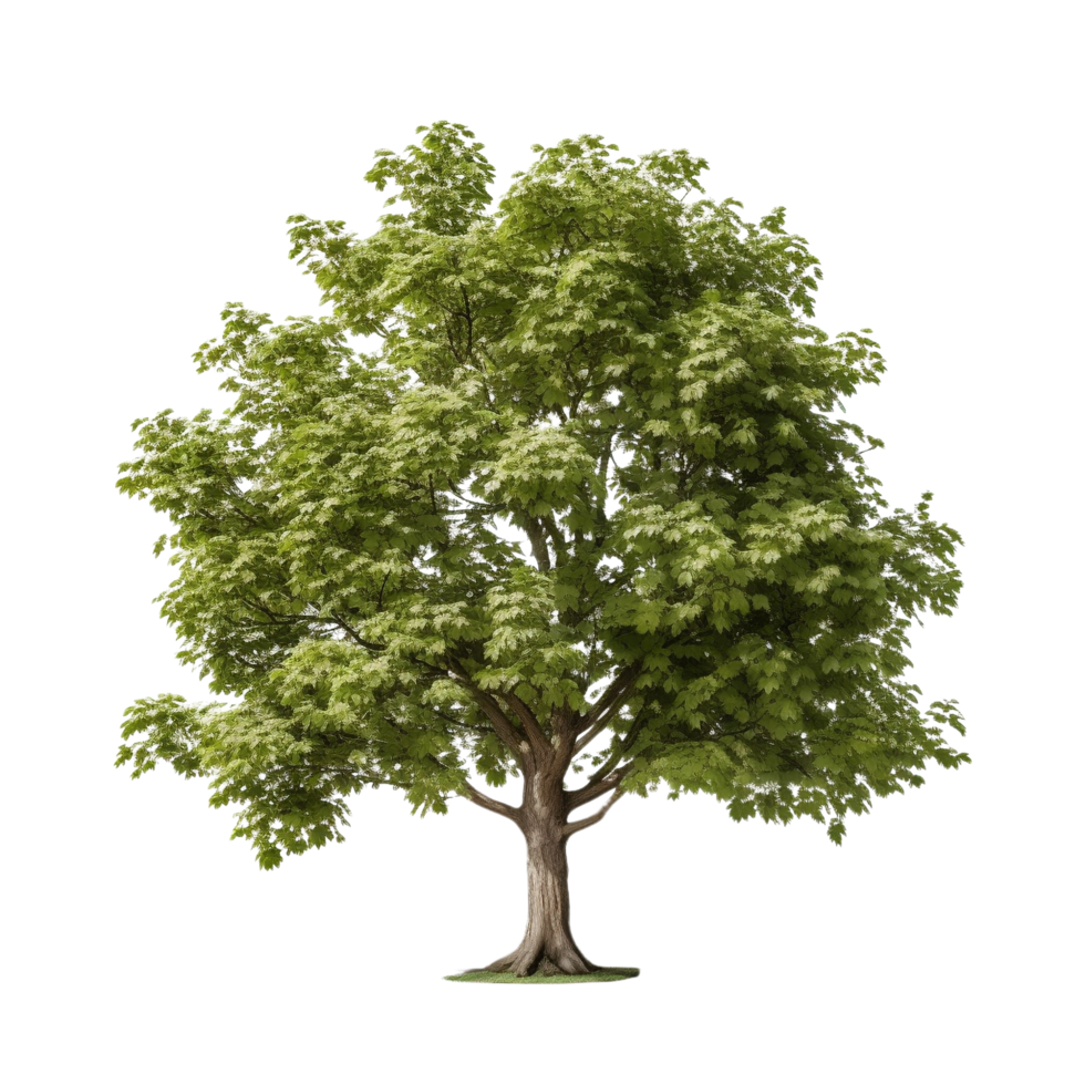 AI generated Common hazel bush clip art png