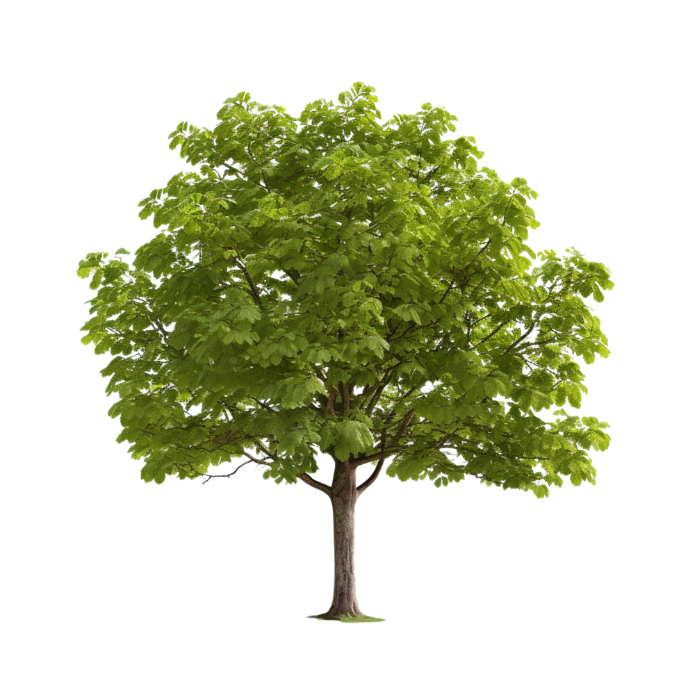 AI generated Common hazel bush clip art png