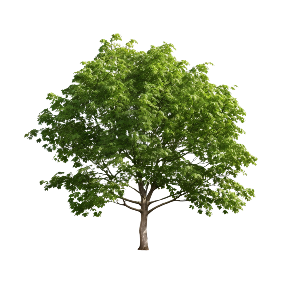 AI generated Common hazel bush clip art png