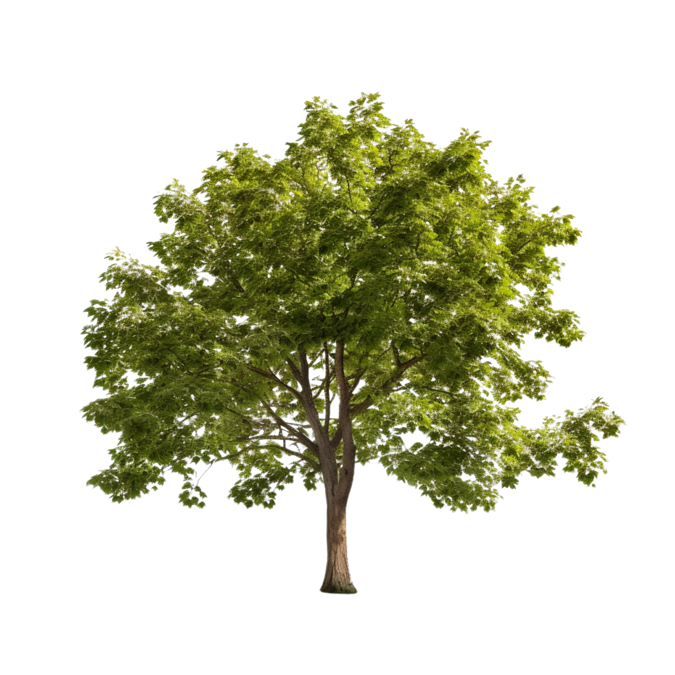 AI generated Common hazel bush clip art png