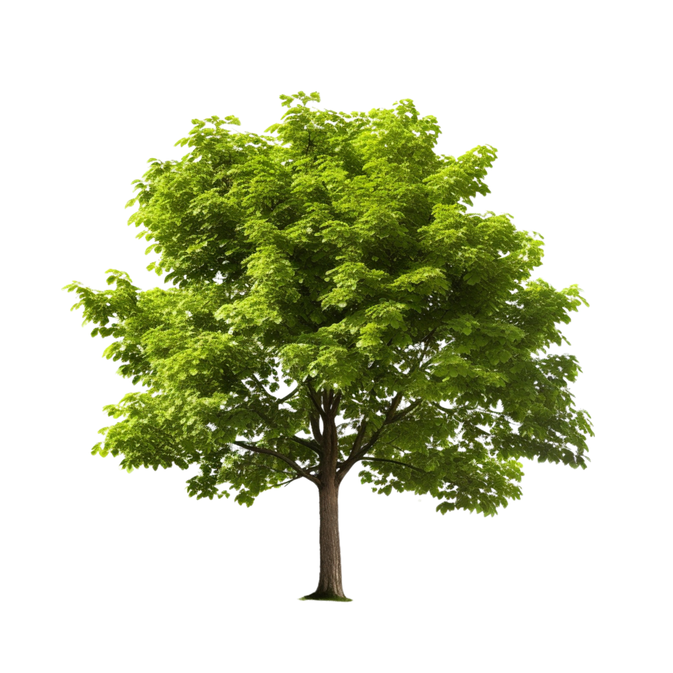 AI generated Common hazel bush clip art png
