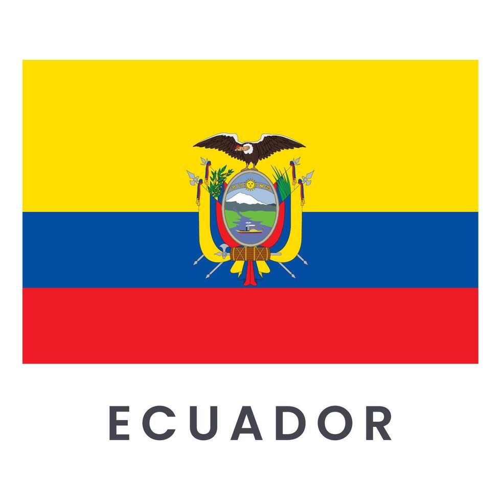 Vector Ecuador flag isolated on white background.