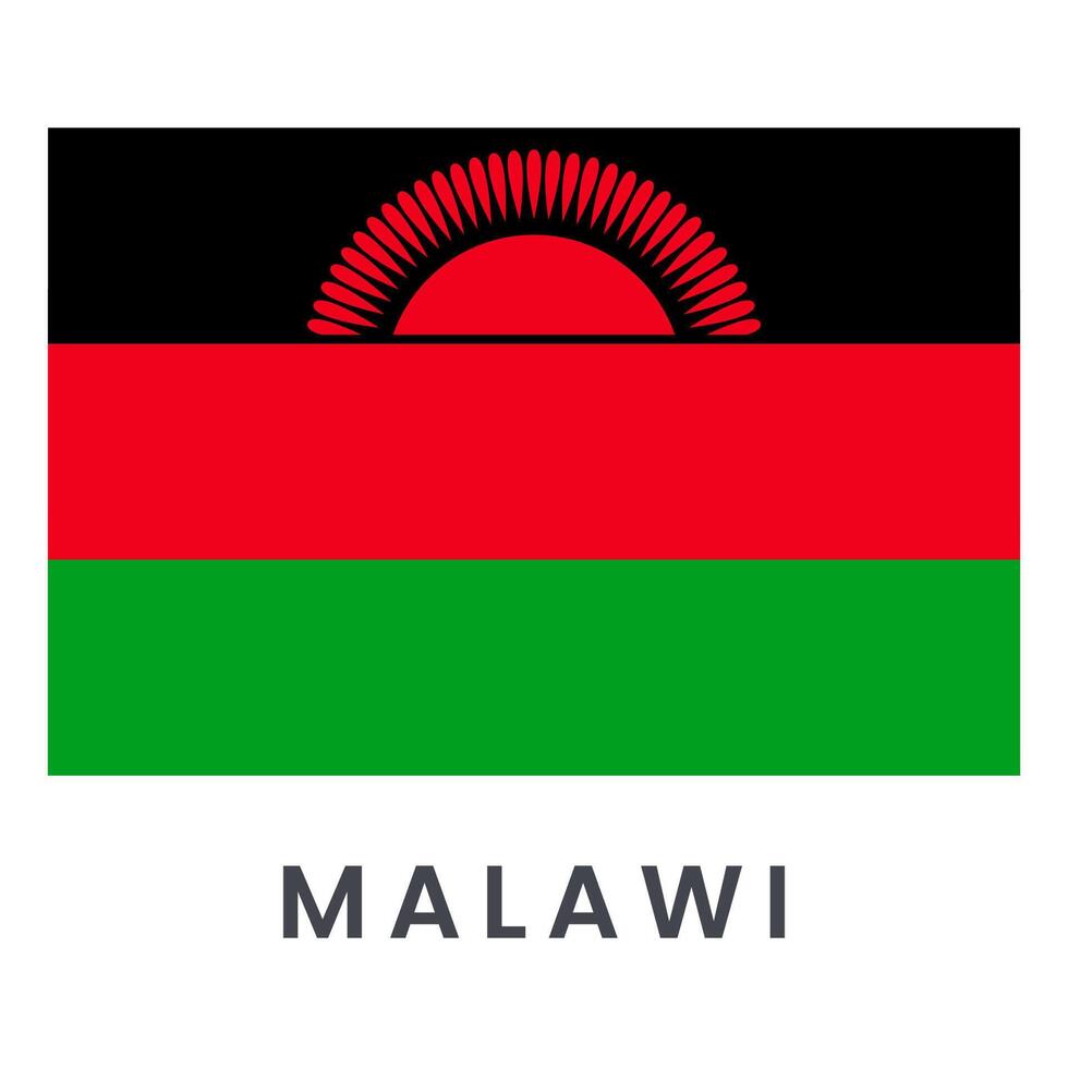 Vector Malawi flag isolated on white background.