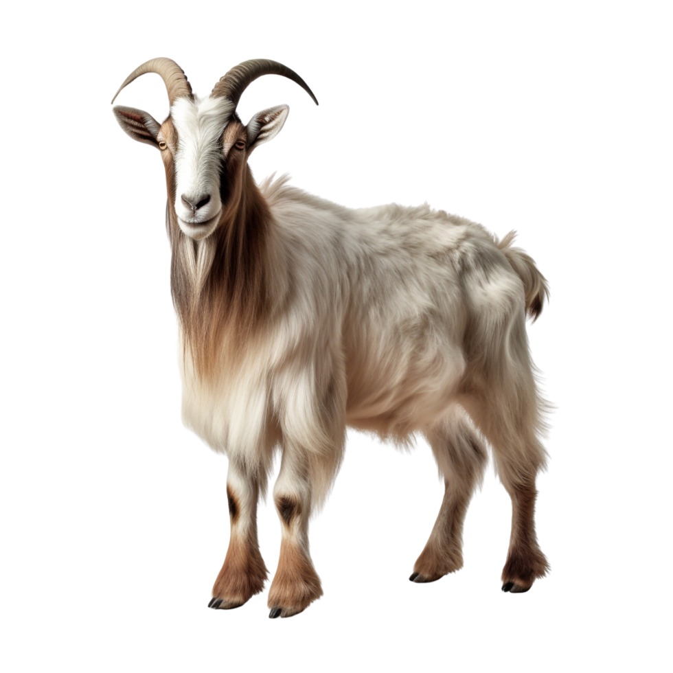 AI generated Goat clip art png