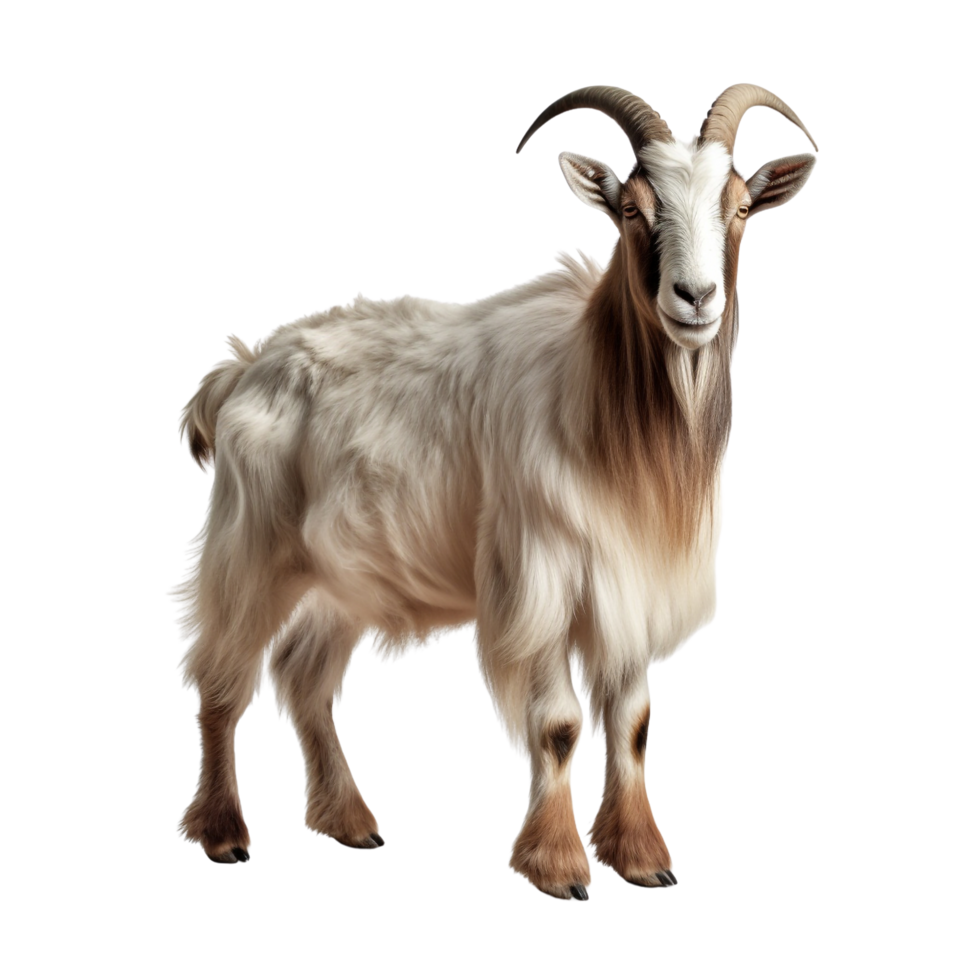 AI generated Goat clip art png