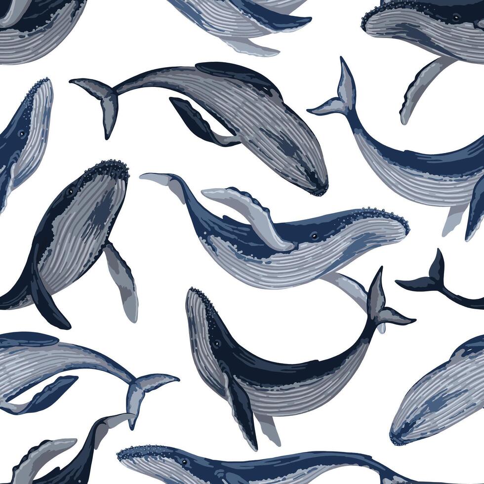 Seamless pattern of blue whales. Hand drawn vector illustration. Ocean mammal animal ornament. Beautiful underwater fauna.