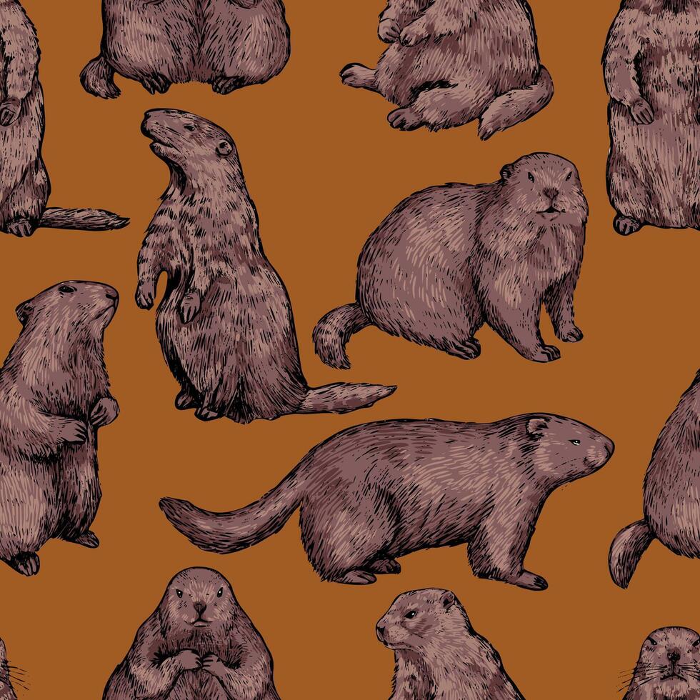 Seamless pattern of realistic groundhogs, marmot. Hand drawn vector illustration. Woodchuck colored retro ornament. Design for fabric, textile, wallpaper, print, background, Groundhog Day decor, card.