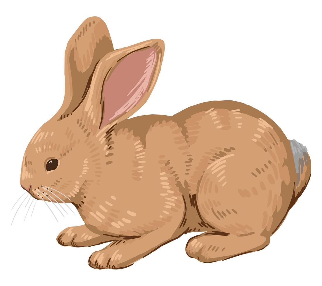 linda bebé conejo, bonito conejito. salvaje animal en dibujos animados estilo. contemporáneo vector ilustración. moderno clipart aislado en blanco antecedentes.