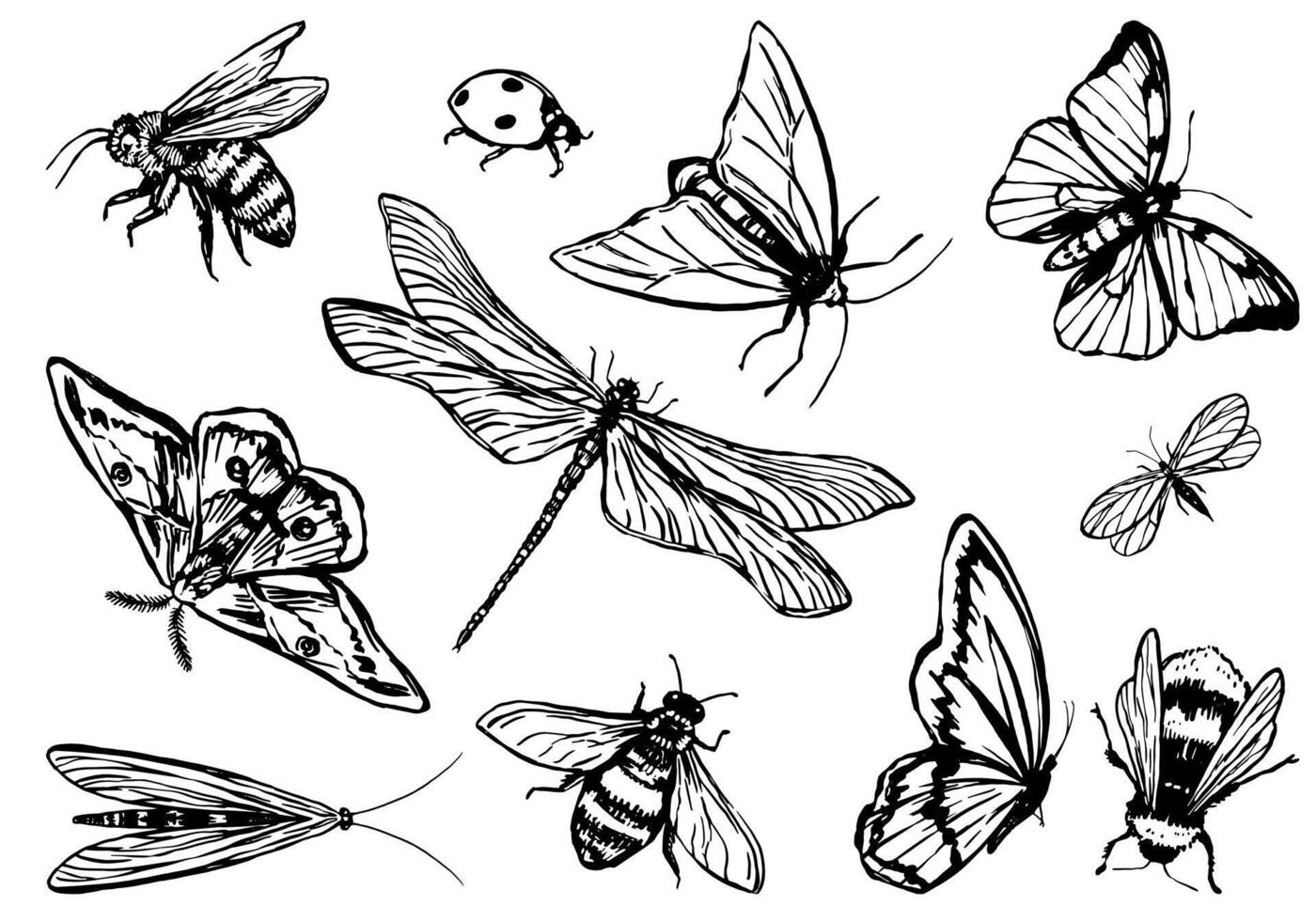 Insects collection. Set of bugs, butterflies, dragonfly, bees. Hand drawn vector illustration. Retro engraving style cliparts isolated on white background.