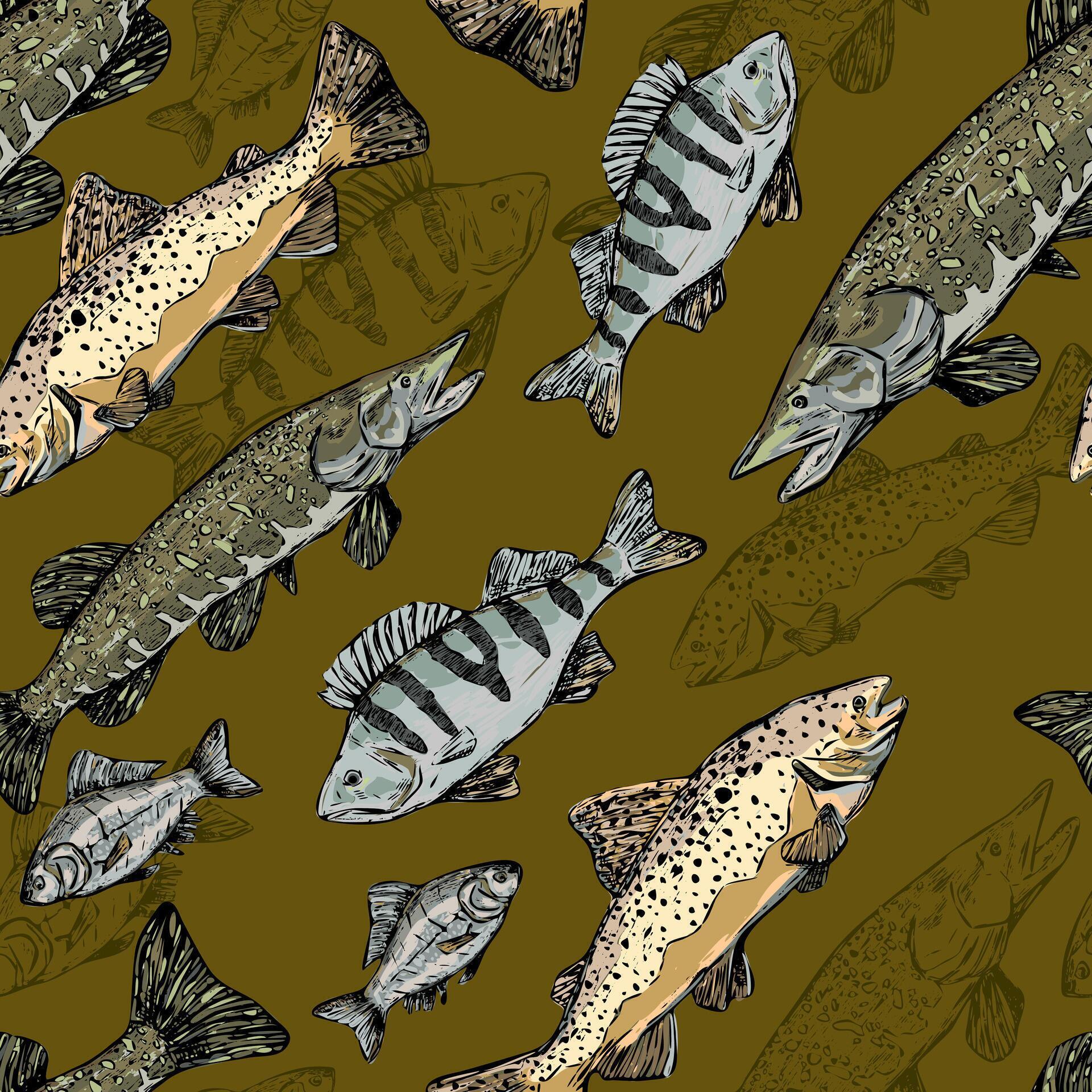 Trout, Perch, Pike, Crucian realistic ink sketches. Hand drawn vector ...