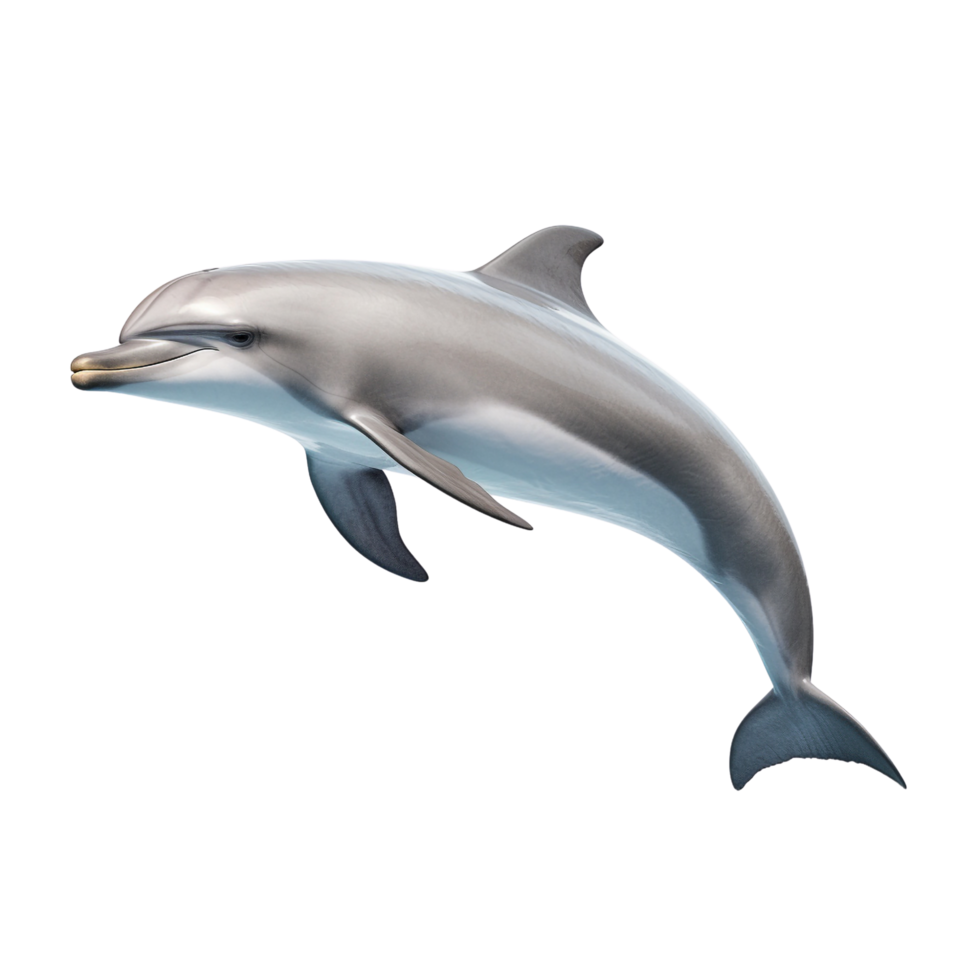 AI generated Dolphin clip art png