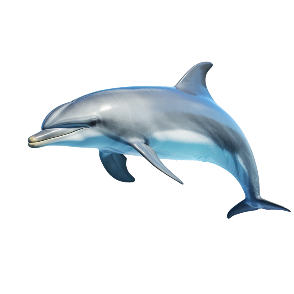 AI generated Dolphin clip art png