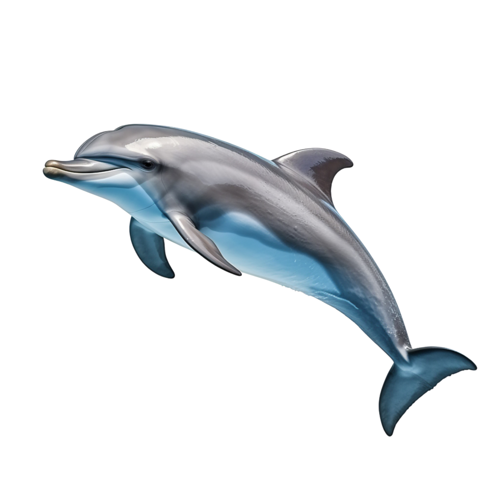 AI generated Dolphin clip art png