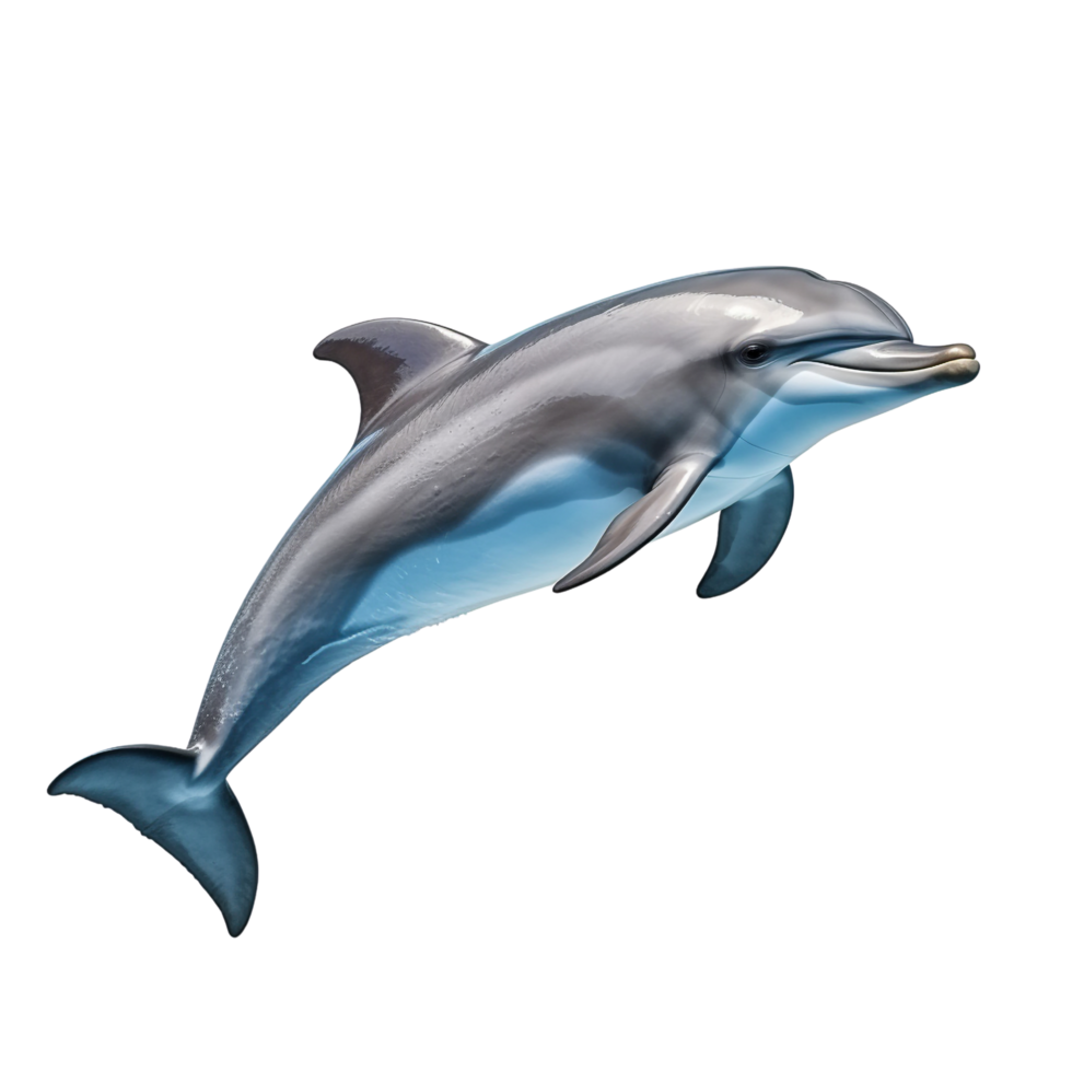 AI generated Dolphin clip art png