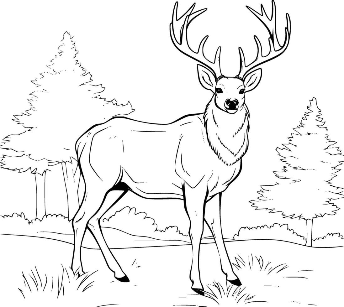 Cute Deer Walking in the Forest Coloring Page for Kids and Toddlers vector