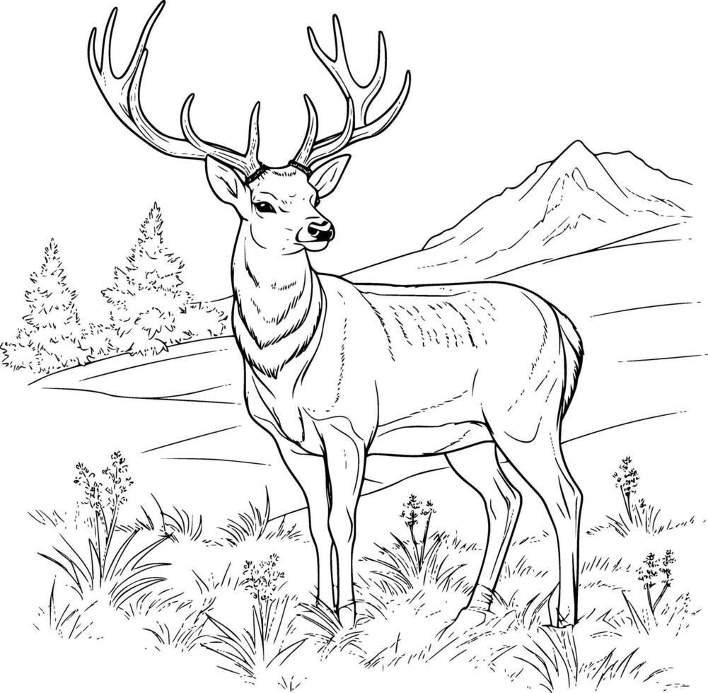 Cute Deer Walking in the Forest Coloring Page for Kids and Toddlers vector