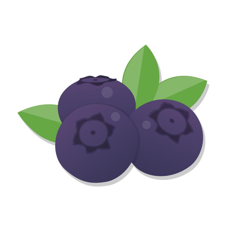 Fresh fruit blueberry cartoon illustration vector