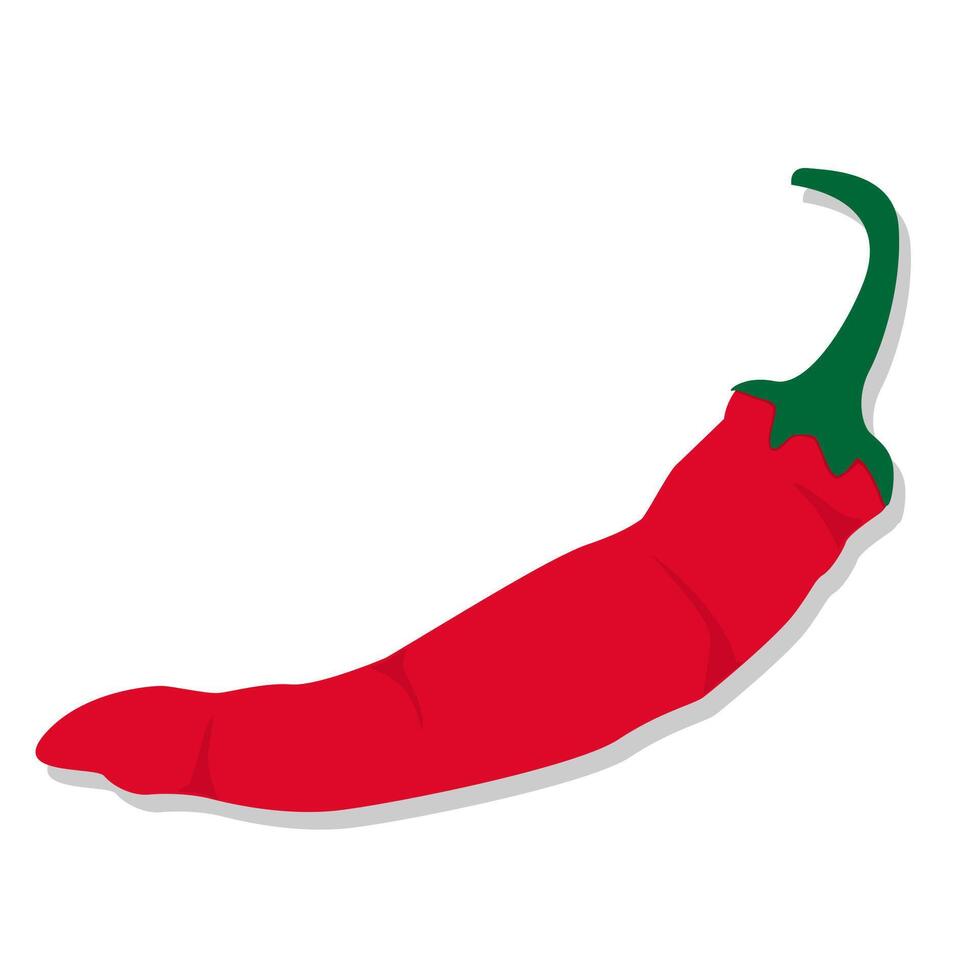 Food ingredient hot pepper cartoon illustration vector