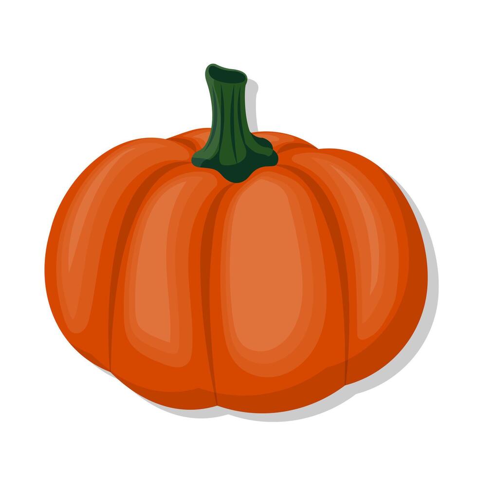 Vegetable organic pumpkin cartoon illustration vector