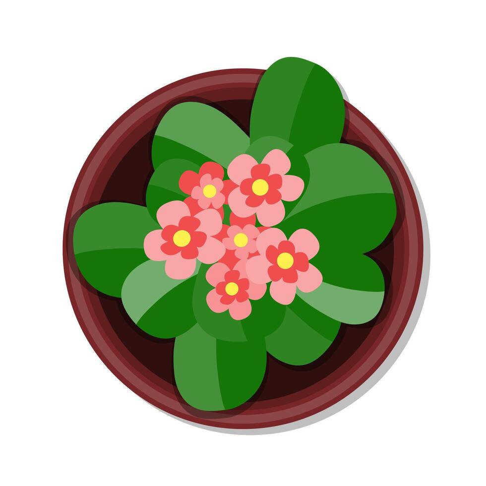 Flower pot top view cartoon illustration vector