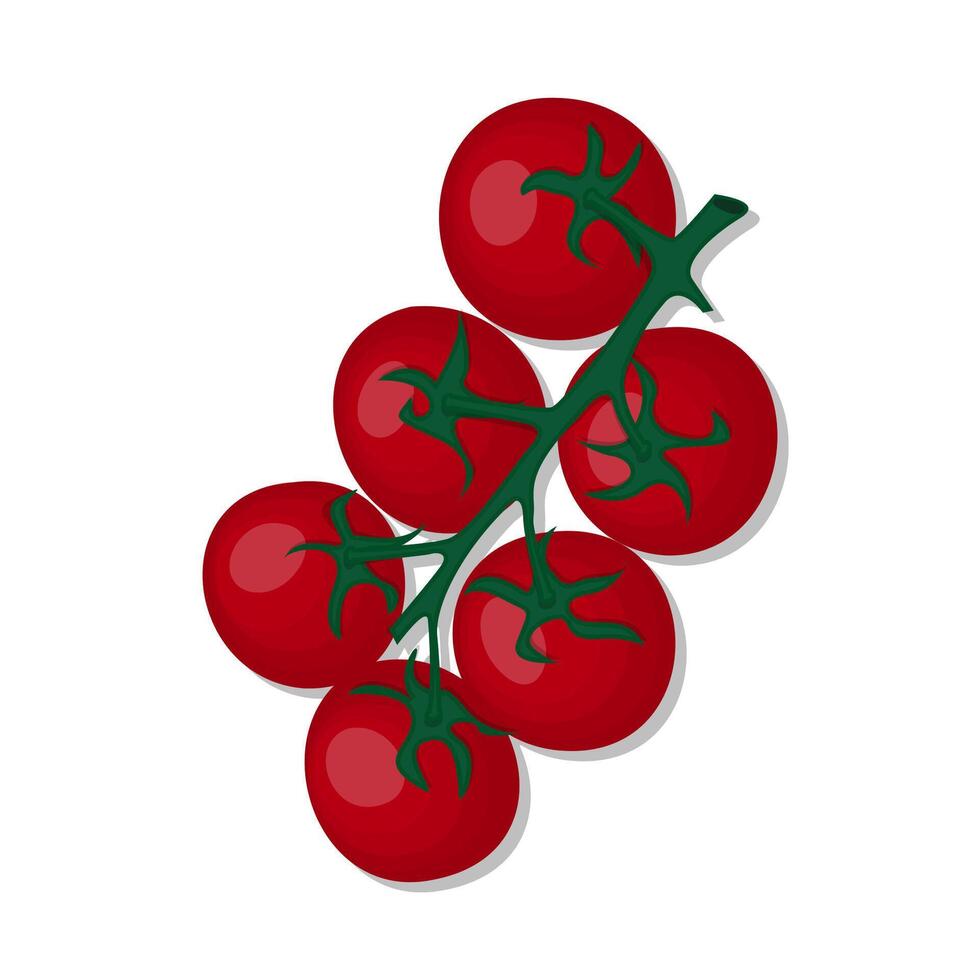 Vegetable tomato bunch cartoon illustration vector