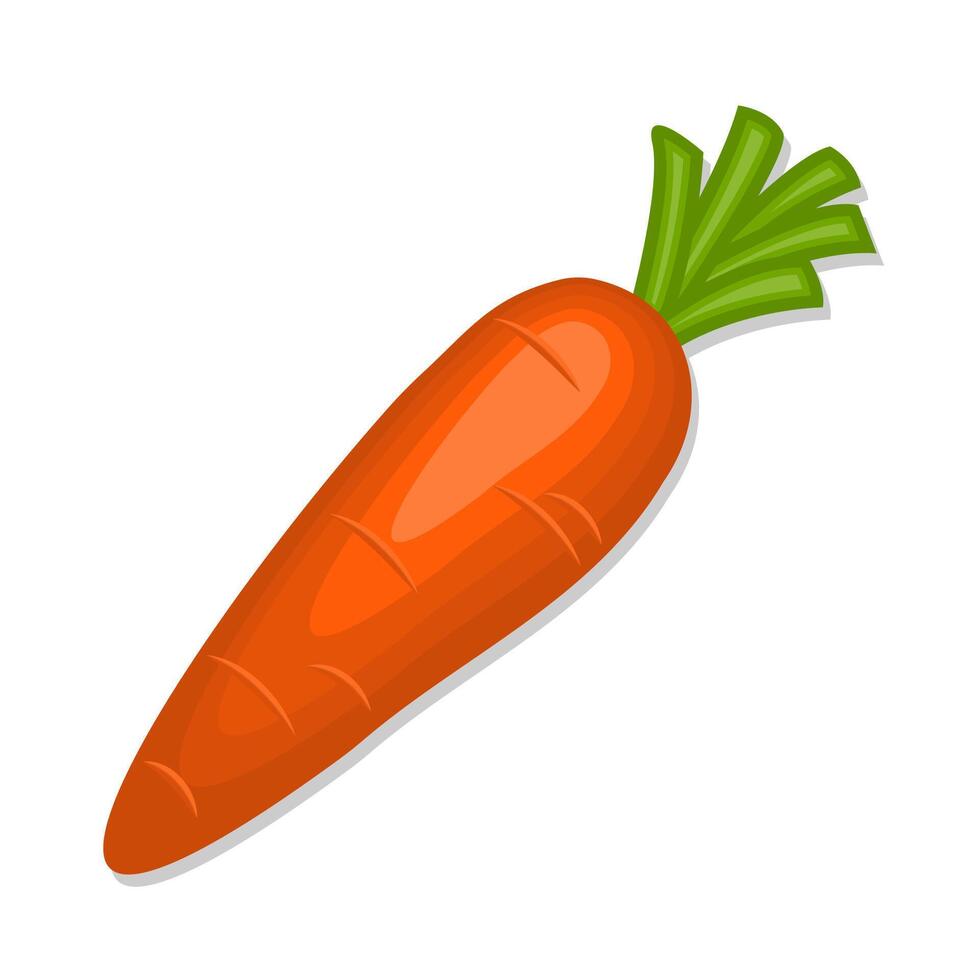 Vegetable fresh organic carrot cartoon illustration vector