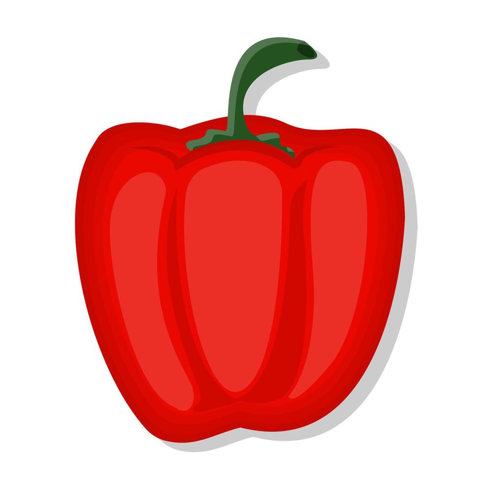 Vegetable red bell pepper cartoon illustration vector