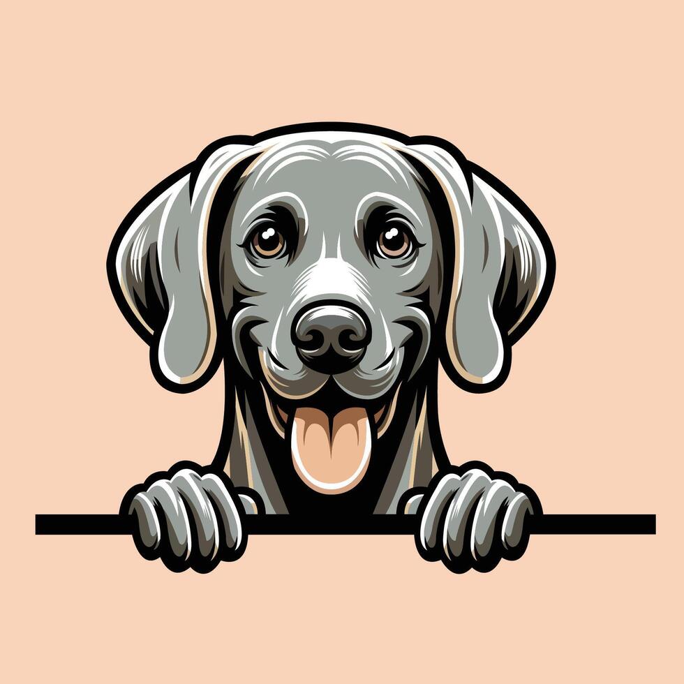 AI generated Weimaraner dog peeking face isolated Pro Vector