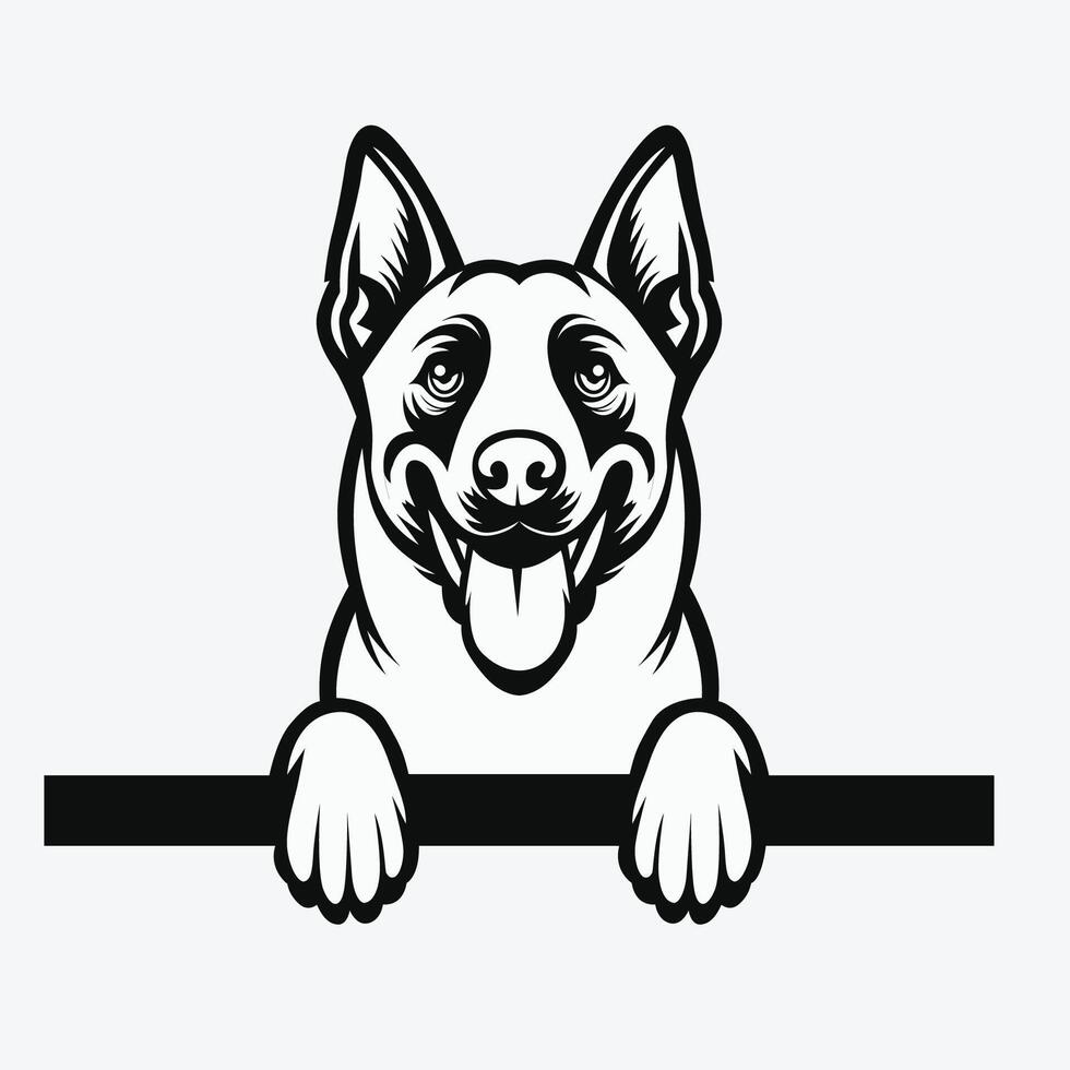 ai generado negro y blanco Belga malinois echar un vistazo cara ilustración vector