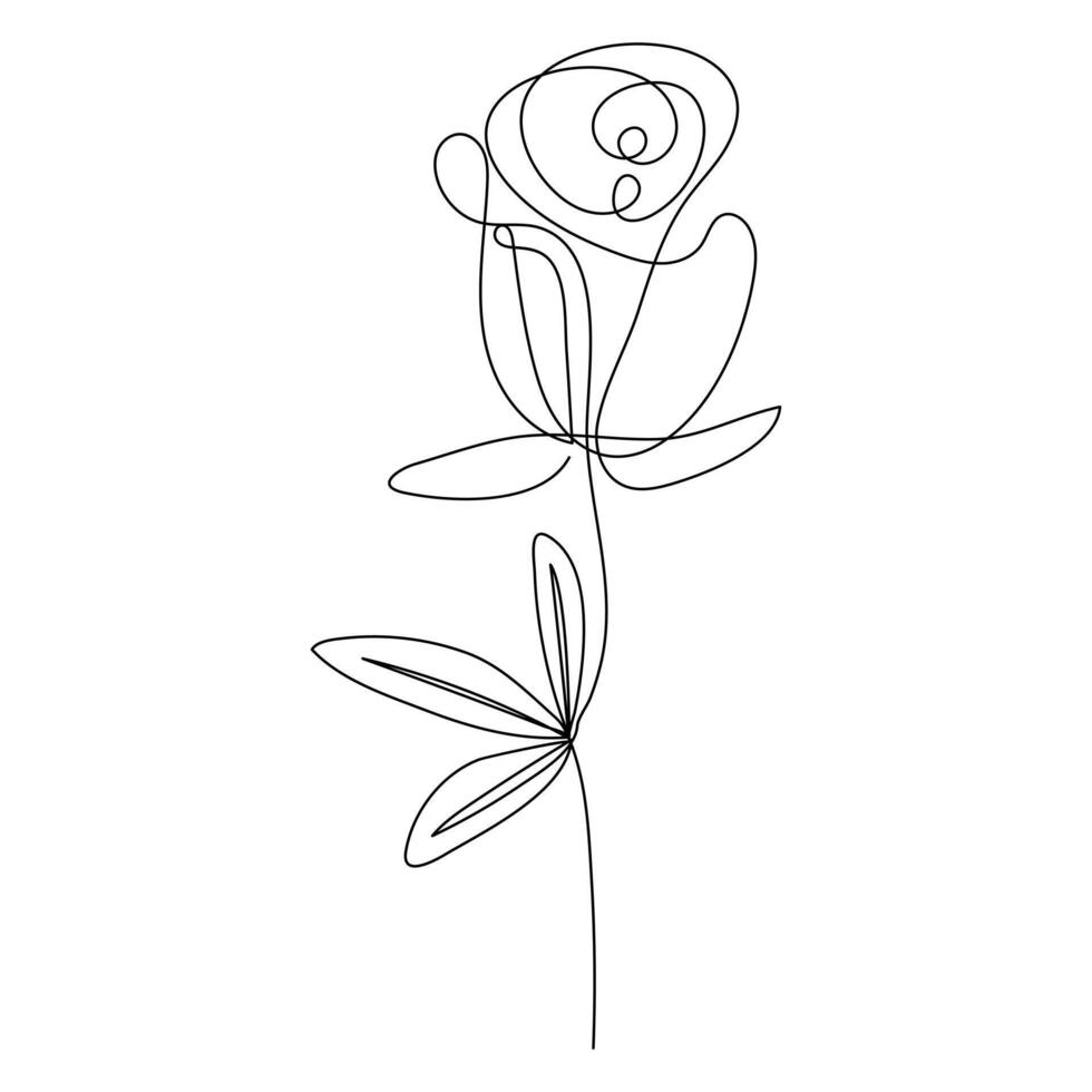 Continuous single One line rose design hand drawn drawing roses line art illustration vector