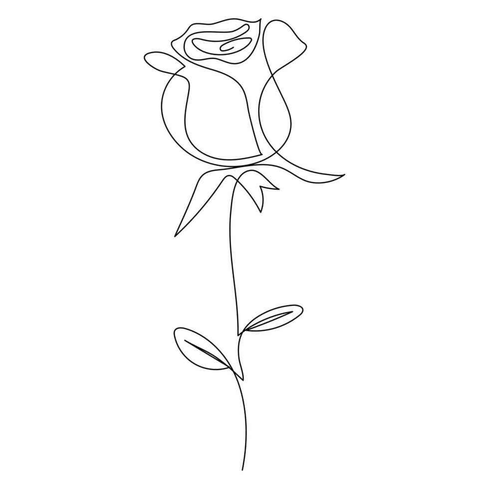 Continuous single One line rose design hand drawn drawing roses line art illustration vector