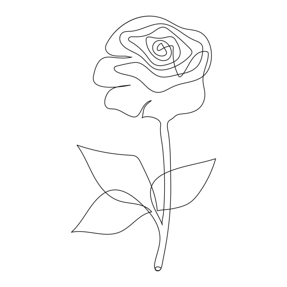 Continuous single One line rose design hand drawn drawing roses line art illustration vector