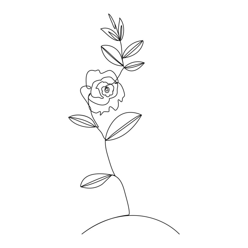 Continuous single One line rose design hand drawn drawing roses line art illustration vector